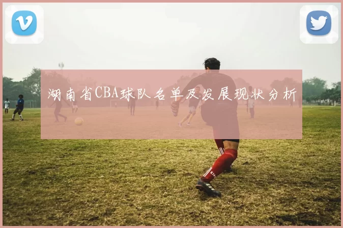 湖南省CBA球队名单及发展现状分析