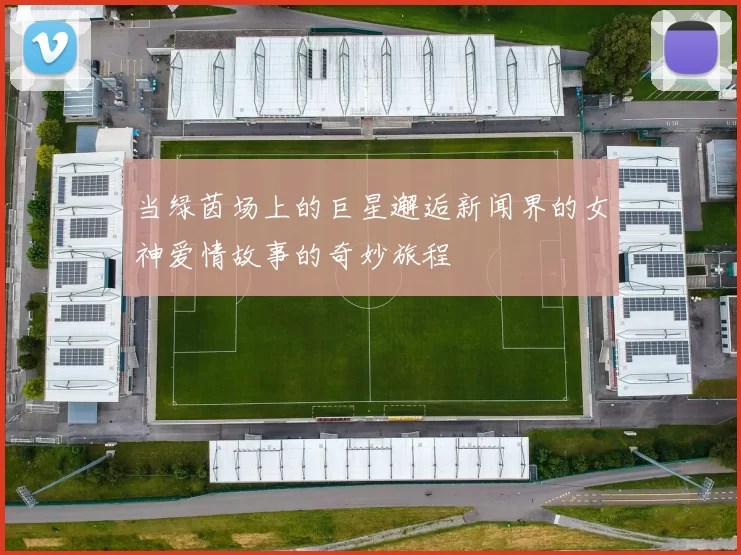 当绿茵场上的巨星邂逅新闻界的女神爱情故事的奇妙旅程
