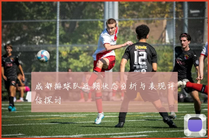 成都排球队近期状态分析与表现评估探讨