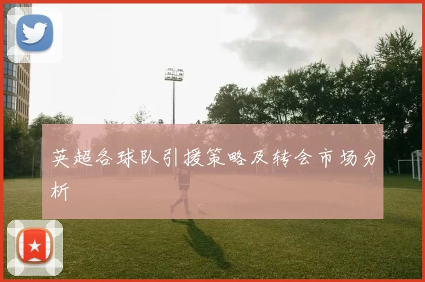 英超各球队引援策略及转会市场分析