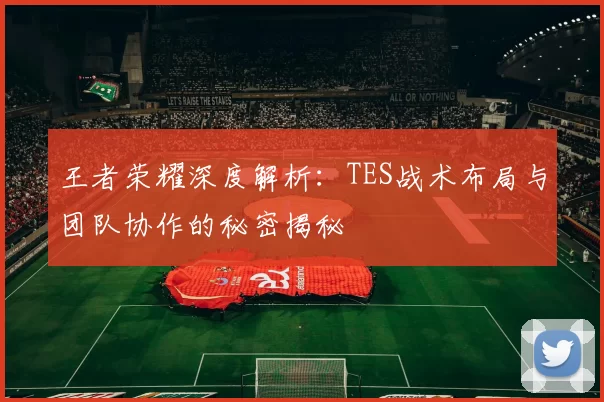 王者荣耀深度解析：TES战术布局与团队协作的秘密揭秘