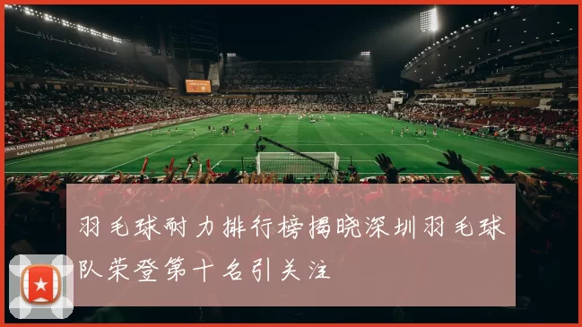羽毛球耐力排行榜揭晓深圳羽毛球队荣登第十名引关注