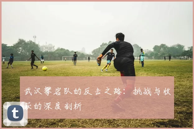 武汉攀岩队的反击之路：挑战与收获的深度剖析