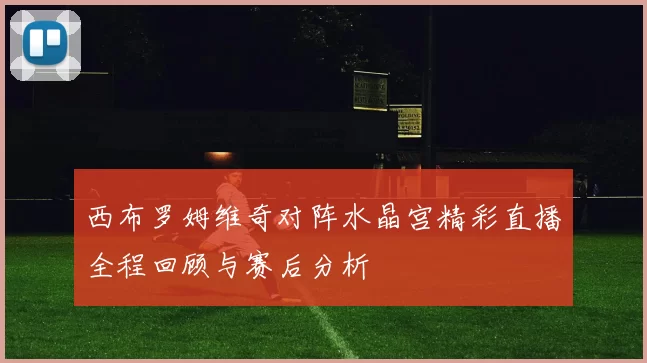 西布罗姆维奇对阵水晶宫精彩直播全程回顾与赛后分析