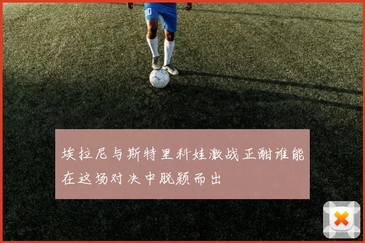 埃拉尼与斯特里科娃激战正酣谁能在这场对决中脱颖而出