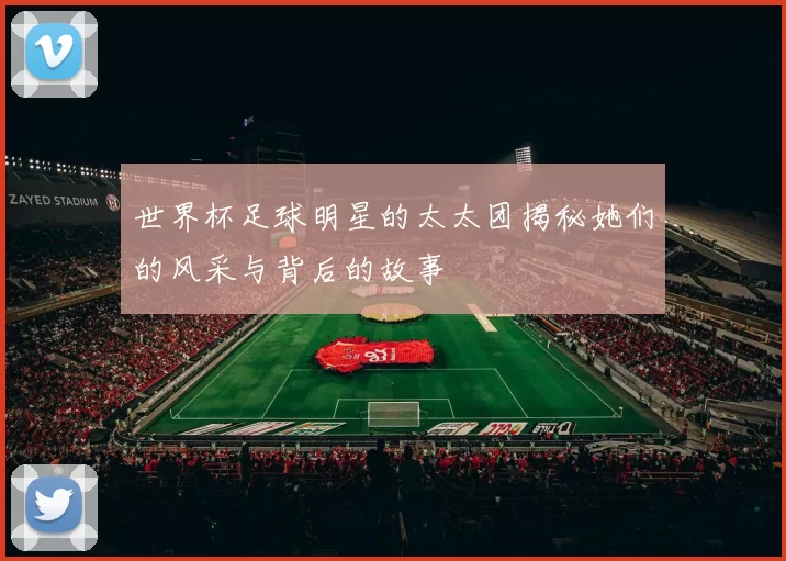 世界杯足球明星的太太团揭秘她们的风采与背后的故事