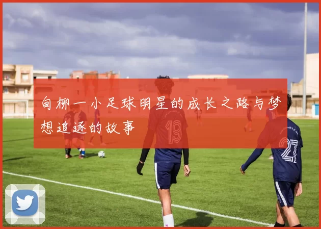 甸柳一小足球明星的成长之路与梦想追逐的故事