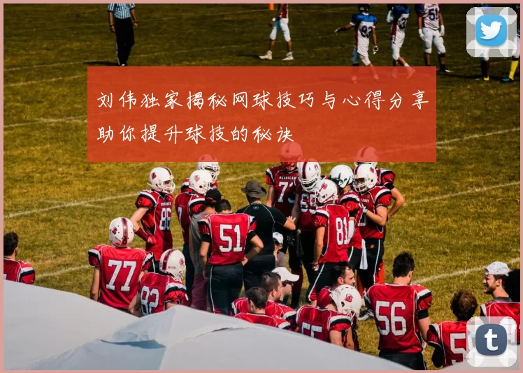 刘伟独家揭秘网球技巧与心得分享助你提升球技的秘诀