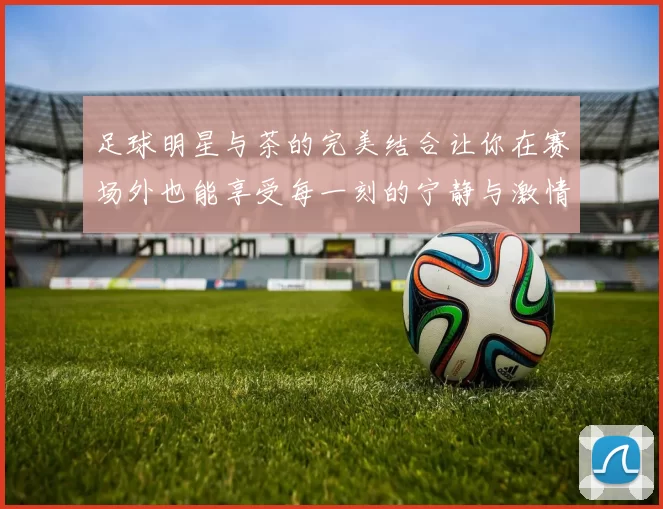 足球明星与茶的完美结合让你在赛场外也能享受每一刻的宁静与激情