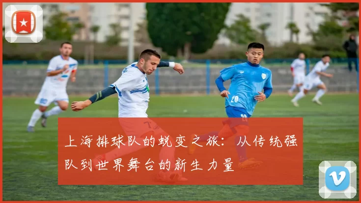 上海排球队的蜕变之旅：从传统强队到世界舞台的新生力量