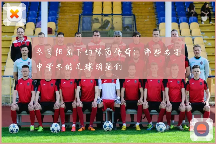 冬日阳光下的绿茵传奇：那些名字中带冬的足球明星们