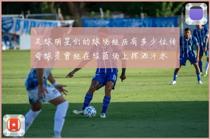 足球明星们的球场经历有多少位传奇球员曾经在绿茵场上挥洒汗水
