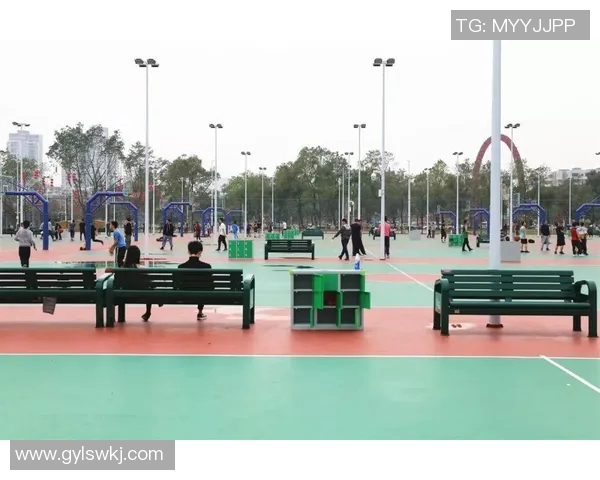 以运动场为中心，探讨体育设施对社区文化建设与青少年成长的积极影响