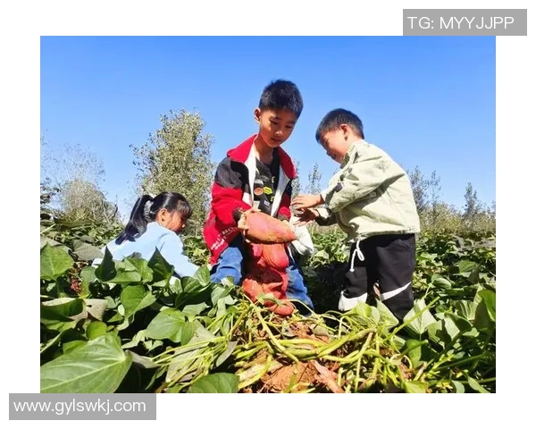 果园采摘乐：亲手摘果品味自然，感受丰收的喜悦与幸福